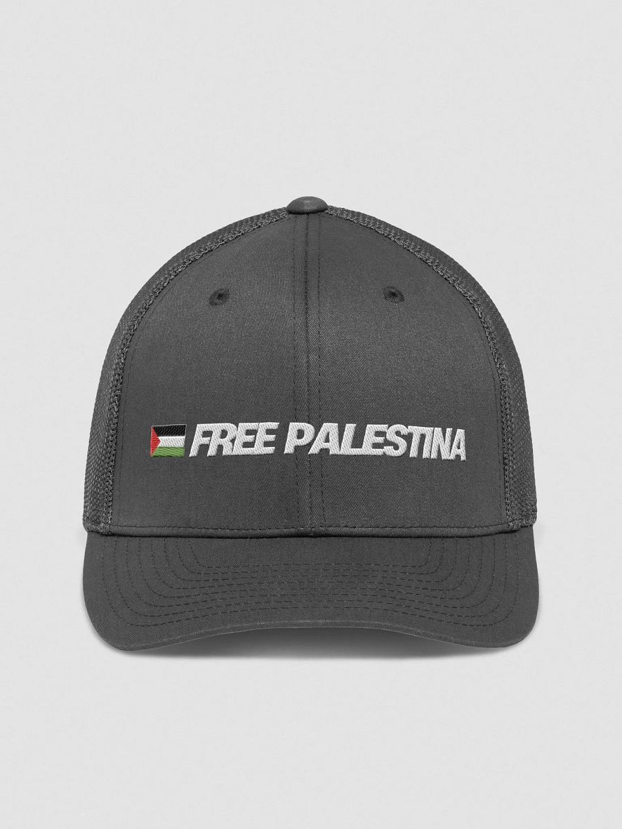 Flexfit Mesh Back Trucker Hat | FREE PALESTINA product image (2)
