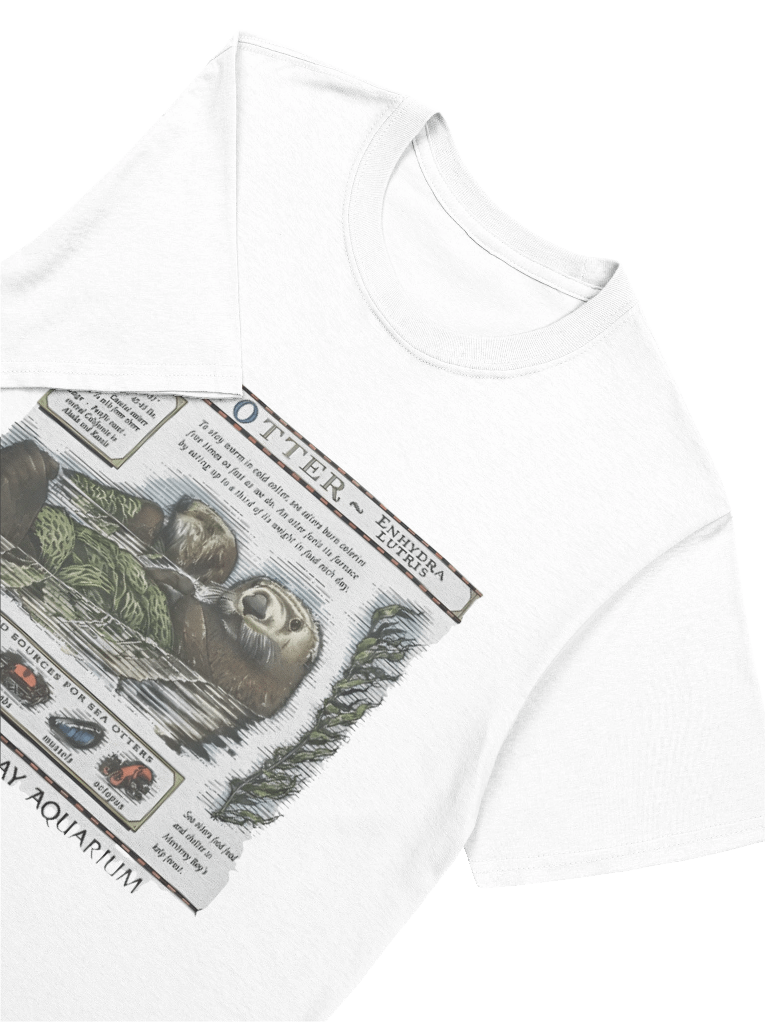Sea Otter Monterey Bay Aquarium T-shirt product image (5)