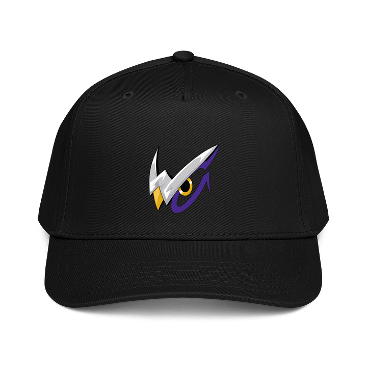 Winguardians Team Baseball Cap product image (1)