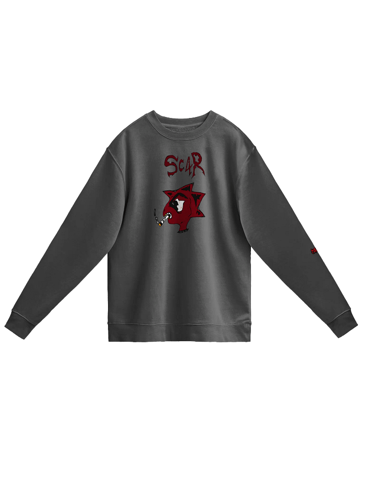 SC4R product image (1)
