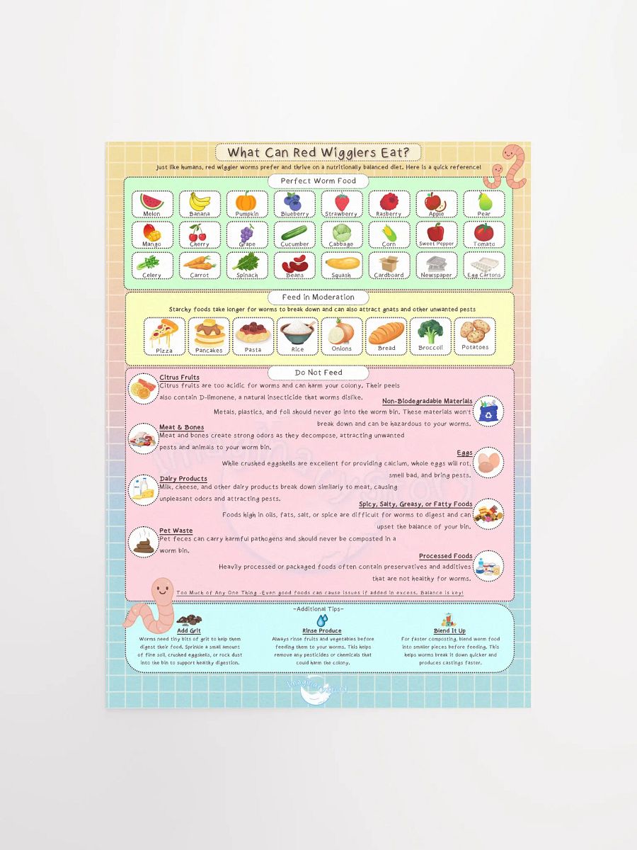 Red Wrigglers Guide Food Chart Poster product image (1)