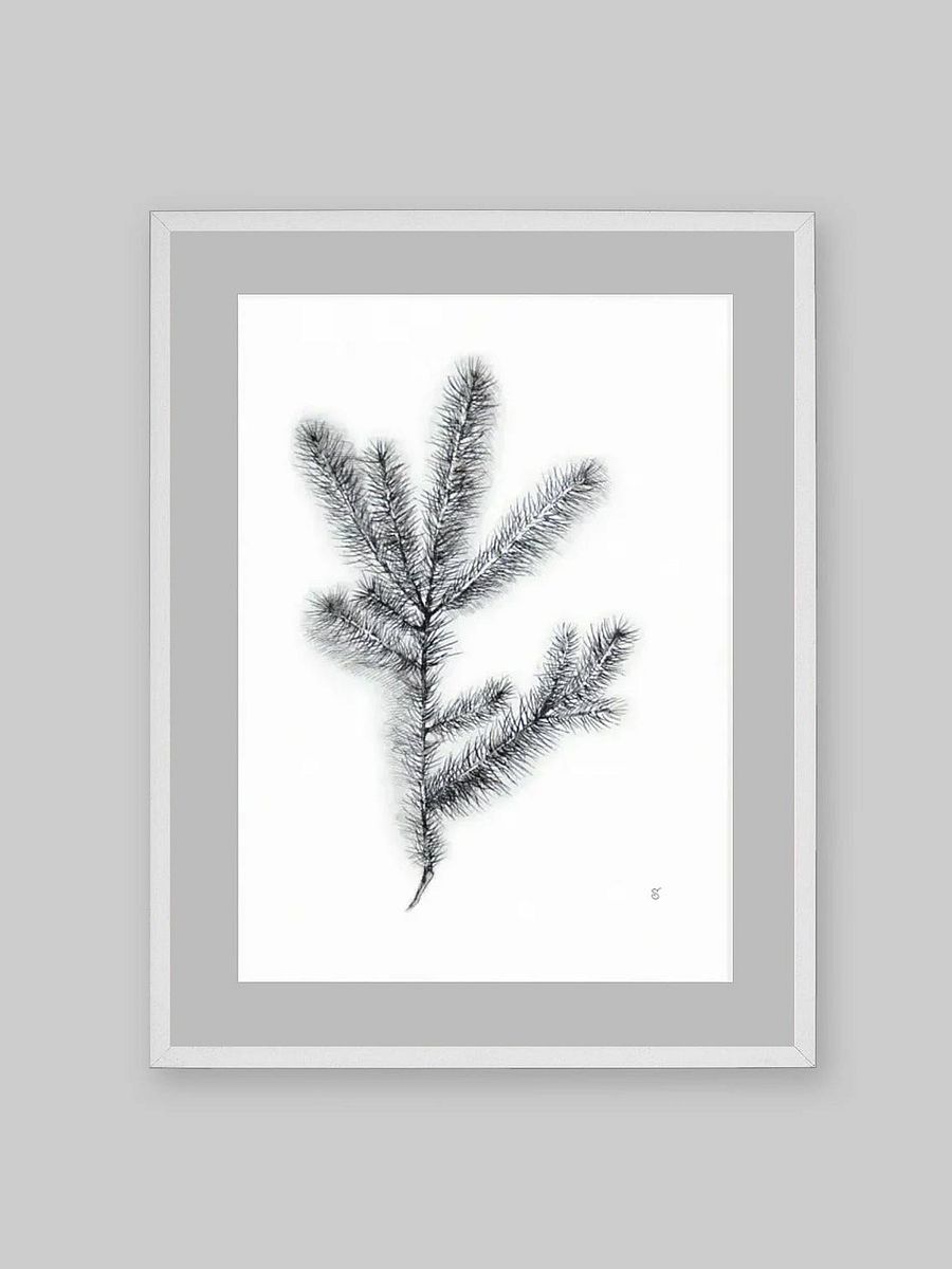 Whimsical Coniferous Branch Poster - Spruce Branch product image (8)