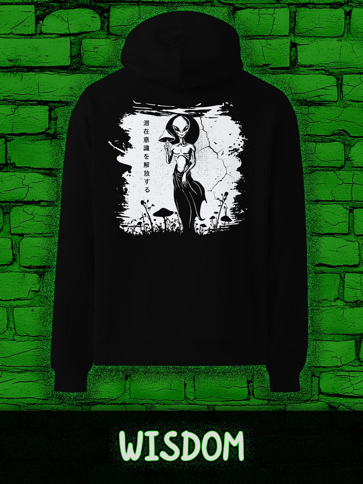 WISDOM Unisex Premium Oversized Hoodie product image (1)