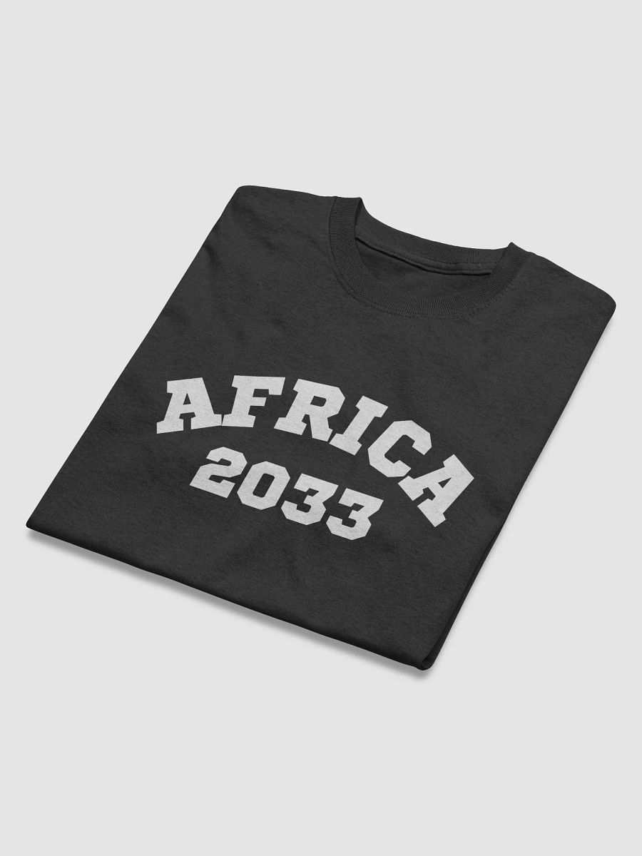 Africa 2033 product image (4)