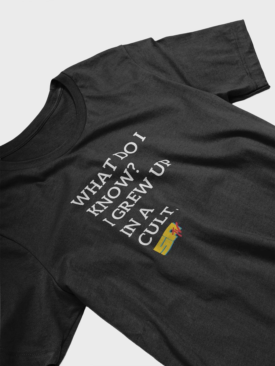 What Do I Know? Left. W on B. Bella Super Soft T-Shirt product image (31)