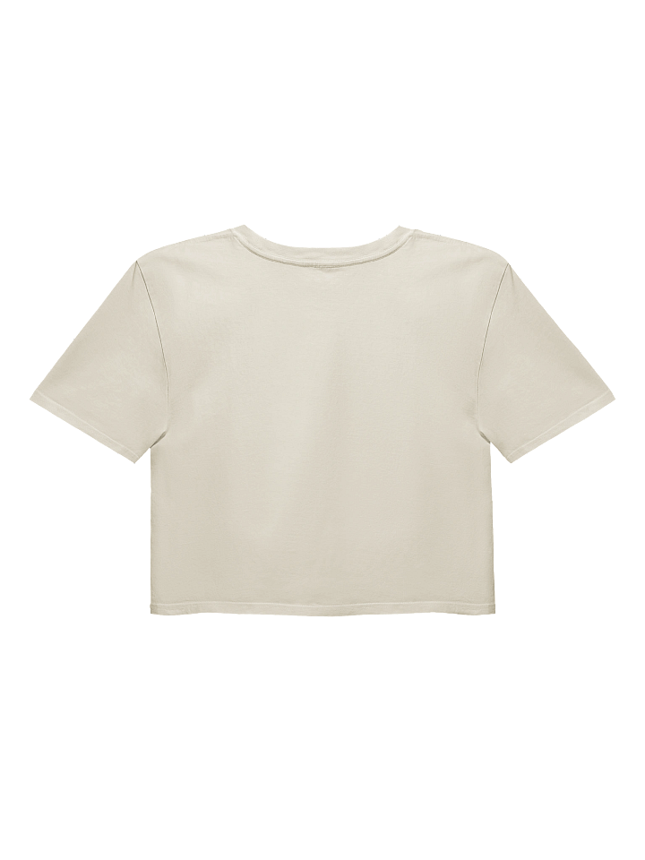 Airway Day 2025 Crop Top product image (2)