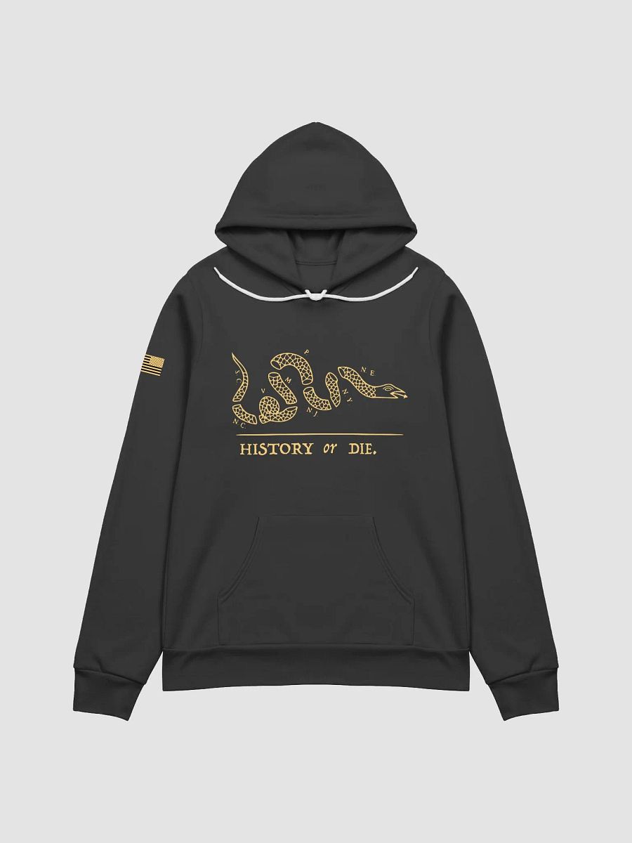 History or Die Hoodie product image (1)