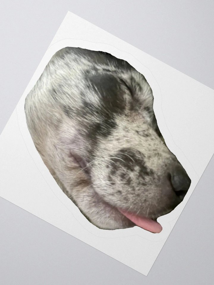 Poppy (Sleep) product image (5)