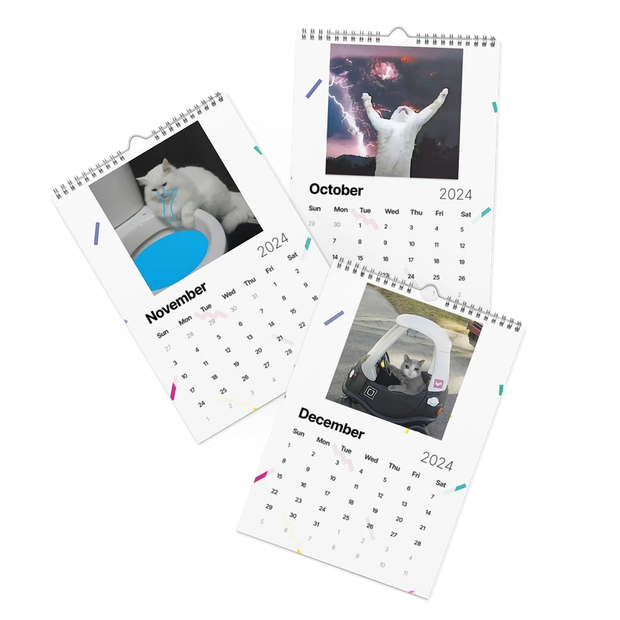 Wall Calendar (2024): Meme Cats product image (17)