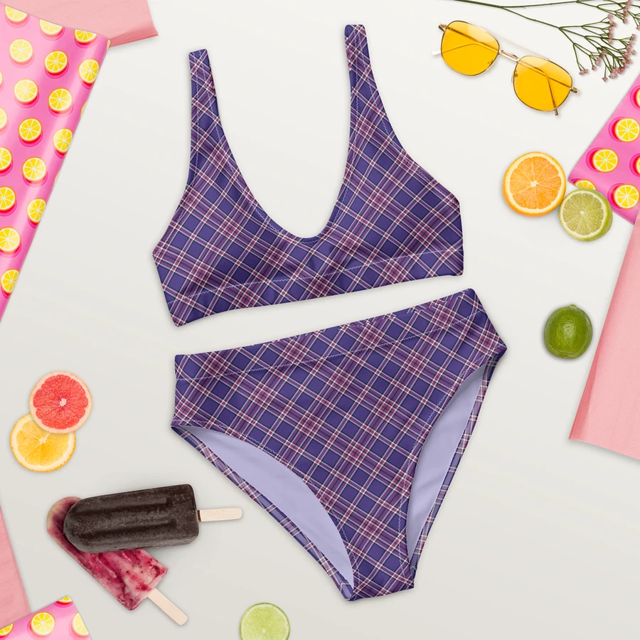 Purple Orchid and Violet Plaid Bikini product image (9)