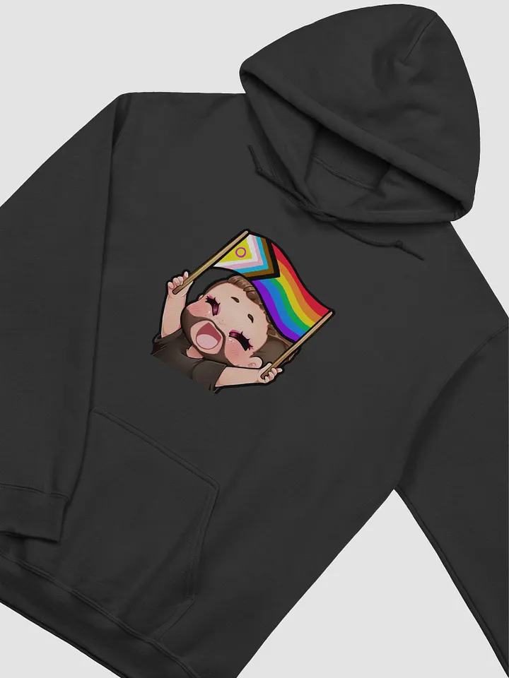 Pride Hoodie product image (2)