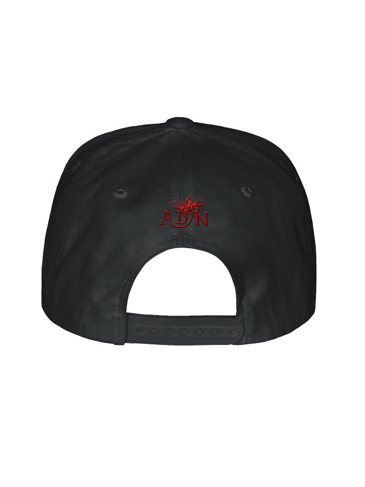 ADN Band Snapback product image (2)