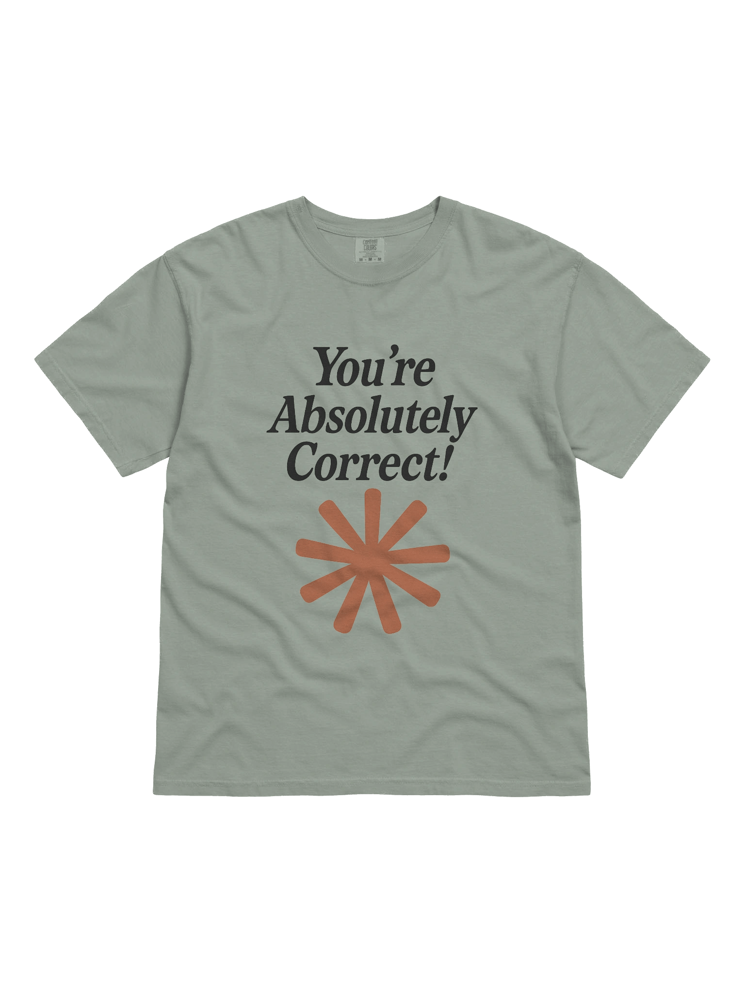 “You’re Absolutely Correct!” - AI Inside-Joke Unisex Tee | Dev & Data Nerd Gift product image (1)