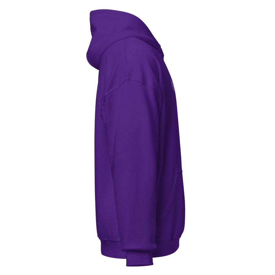 Saygrae Logo Hoodie product image (3)