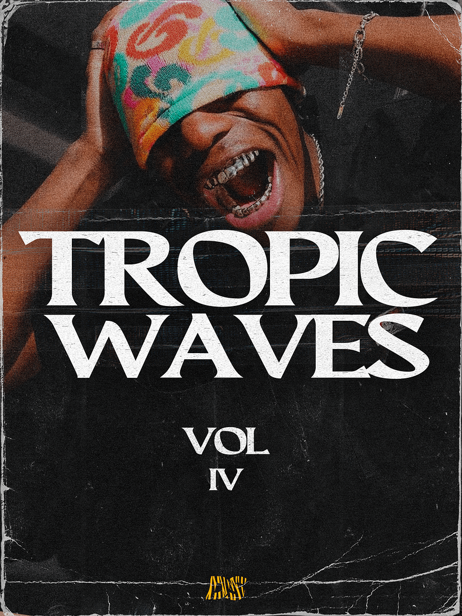 Tropic Waves IV (Dancehall Shatta - Moombahton Melody pack) product image (1)