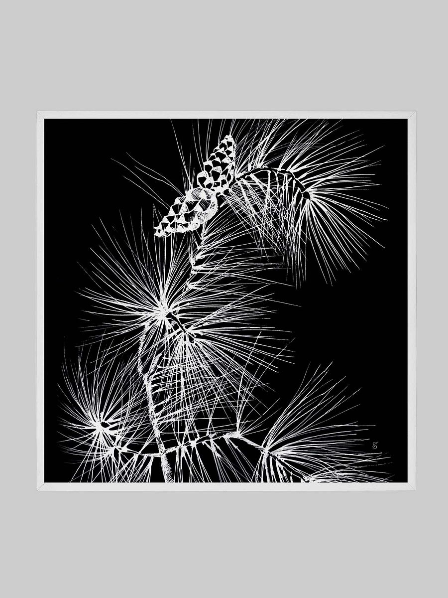 Visionary Canvas Collection - Stylish Pine Branch and Cones product image (131)