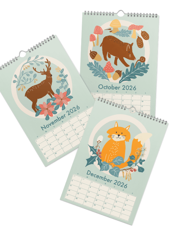 Swiss Wildlife 2026 Wall Calendar – Nature-Inspired Animal Art for Kids, Families & Nature Lovers product image (9)