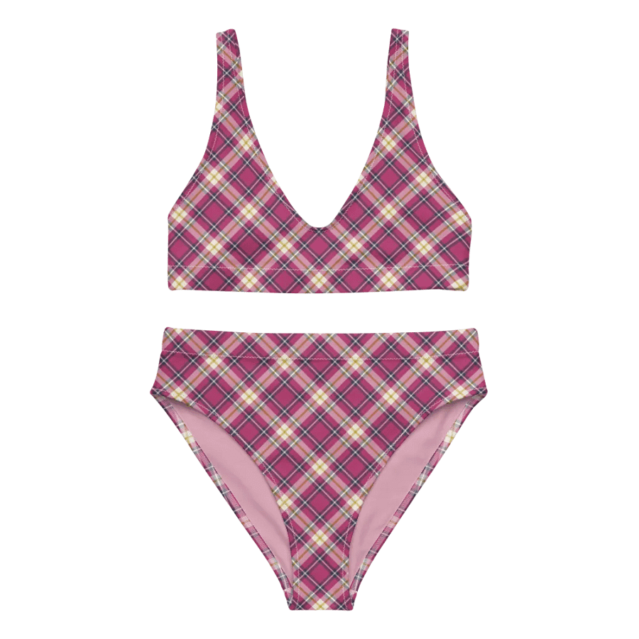 Raspberry Pink and Navy Plaid Bikini product image (2)