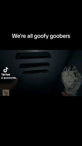 We're all goofy goobers in my chat #phasmophobia #spongebob #spongebobmemes #twitch #twitchstreamer #twitchstream #twitchclips