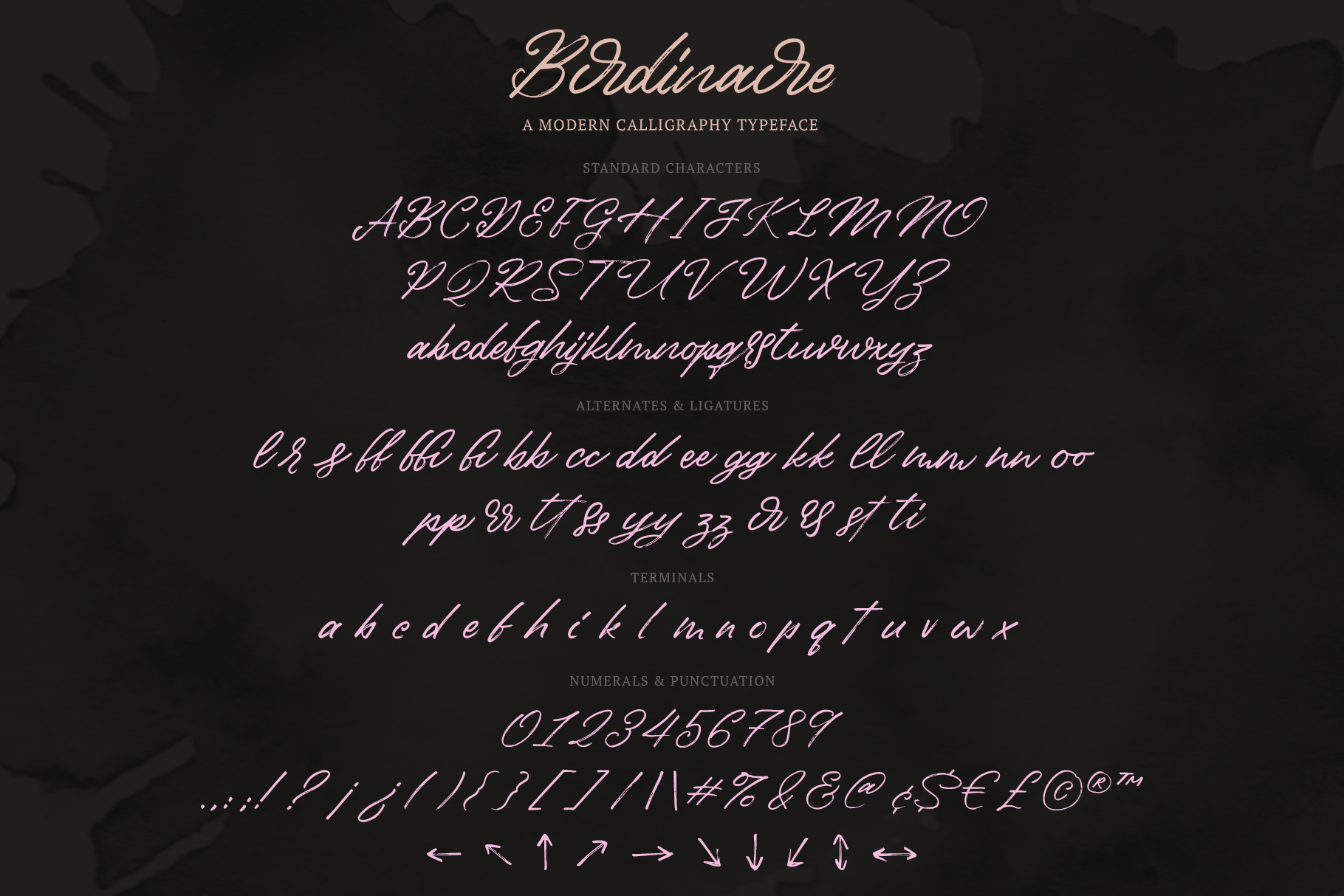 Birdinaire | A Modern Calligraphy Font product image (7)