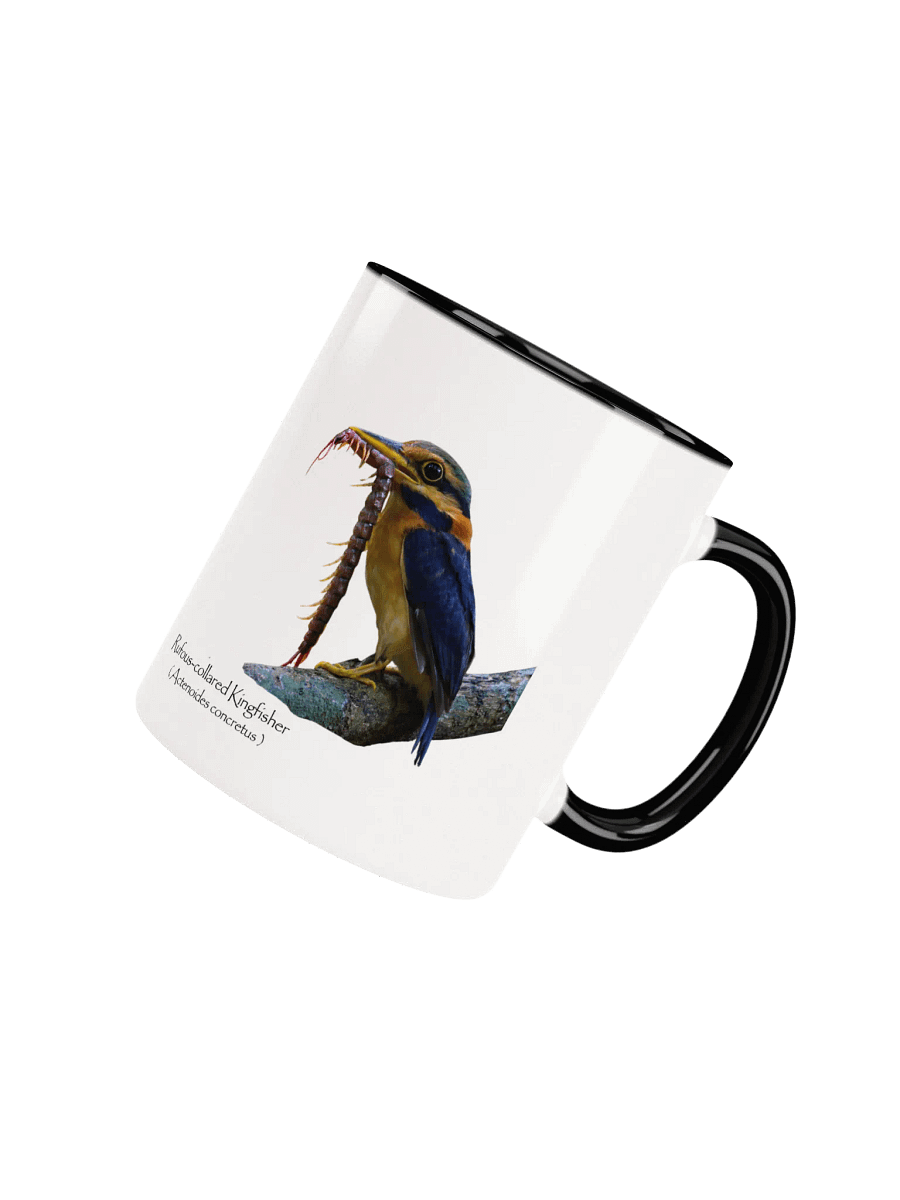 Rufous-collared Kingfisher mug product image (39)
