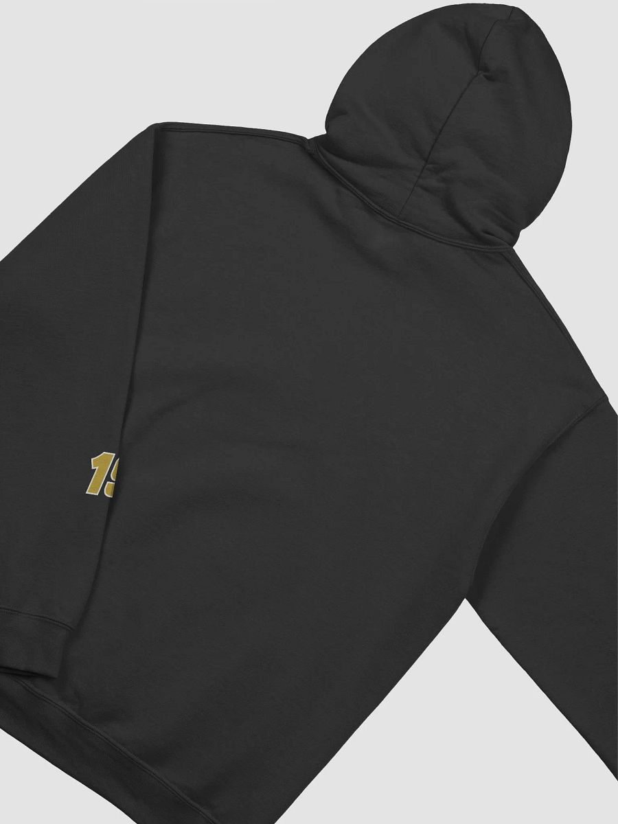 HBM Hoodie product image (35)