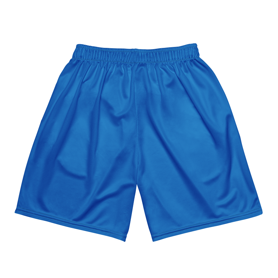 How We Roll Gaming Mesh Shorts product image (5)