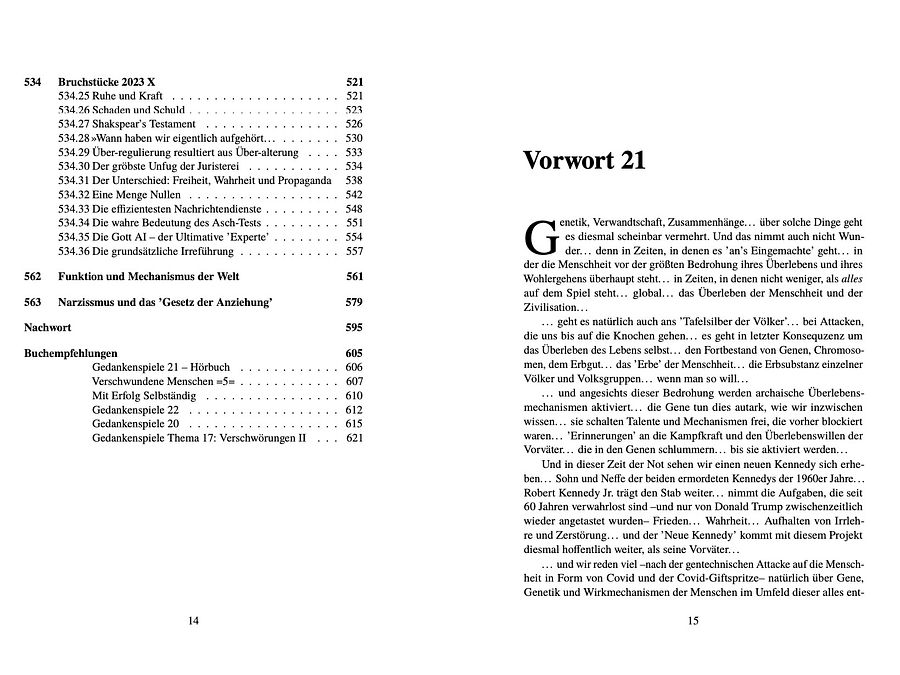 Gedankenspiele 21 - pdf product image (9)