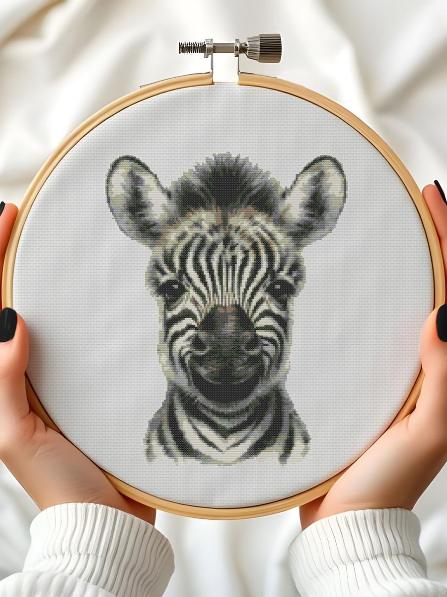 Baby Zebra product image (6)