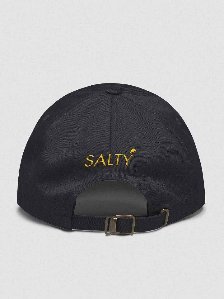 Embroidered Salty Dad Hat product image (2)