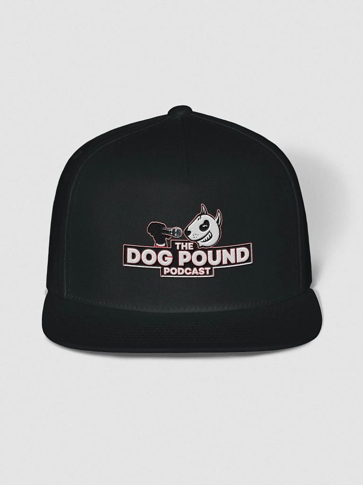 Dog Pound Podcast Snapback Hat product image (1)