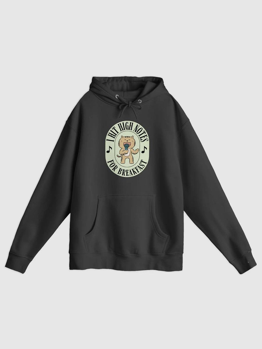 I Hit High Notes For Breakfast - Funny Hoodie For Singers product image (2)