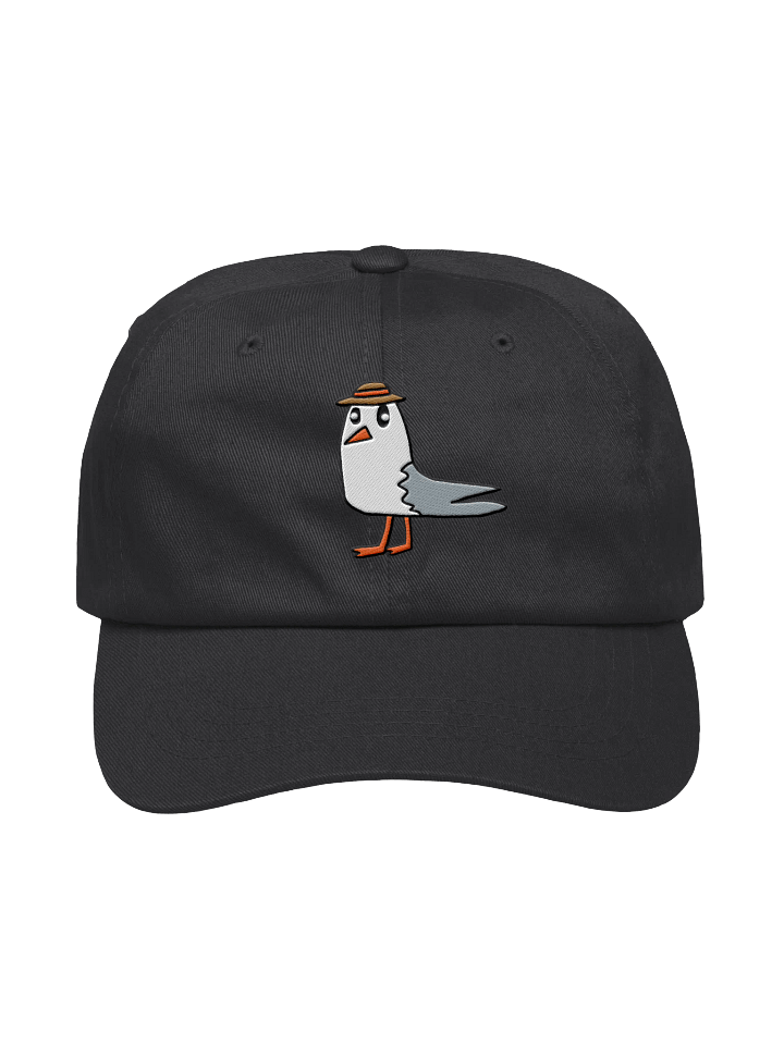 Embroidered Lil Gull Hat product image (1)