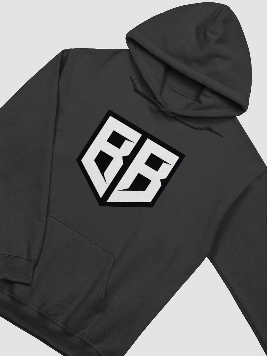 The Great Beyond Hoodie product image (3)