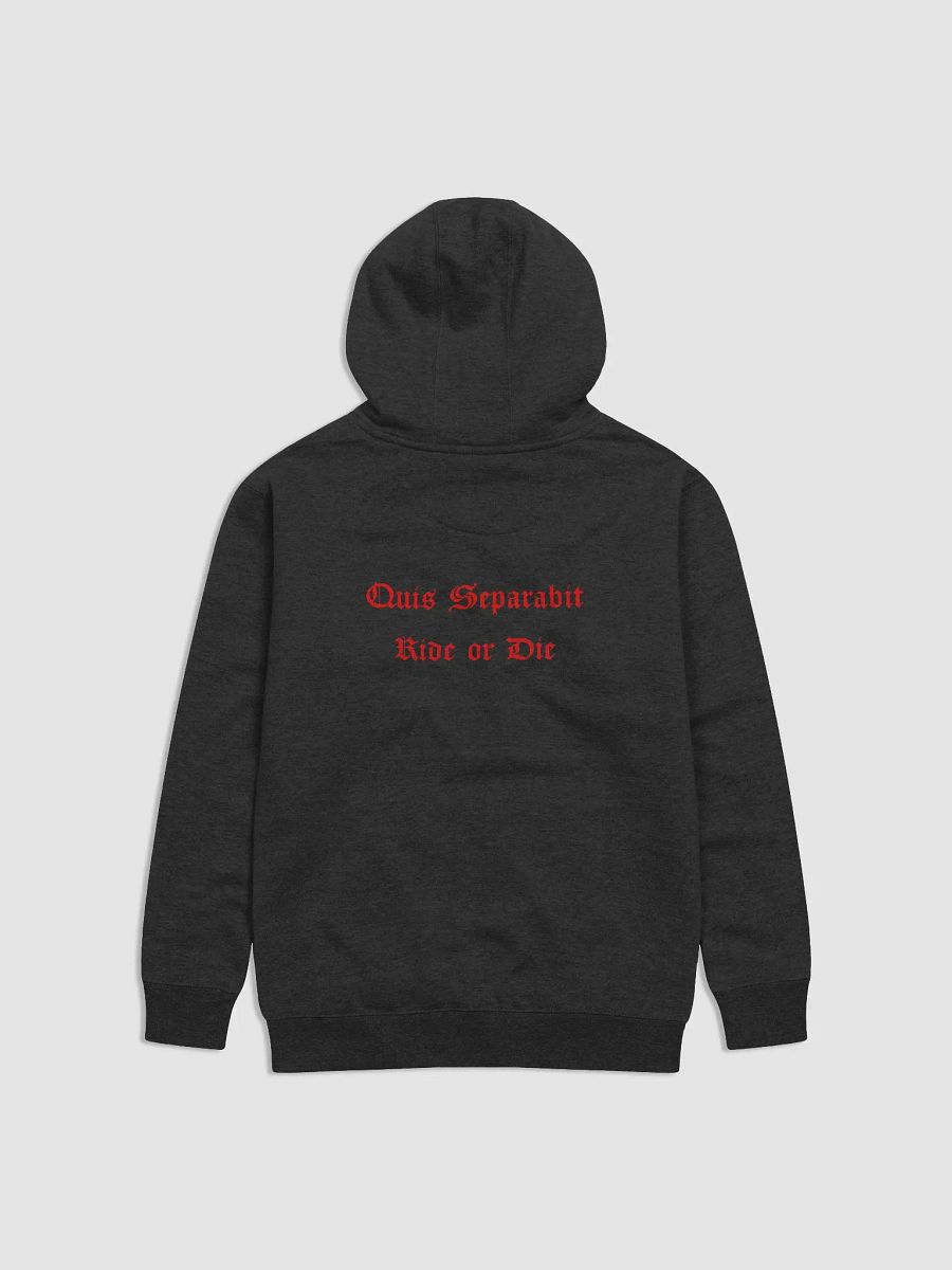 QUIS SEPARABIT product image (2)