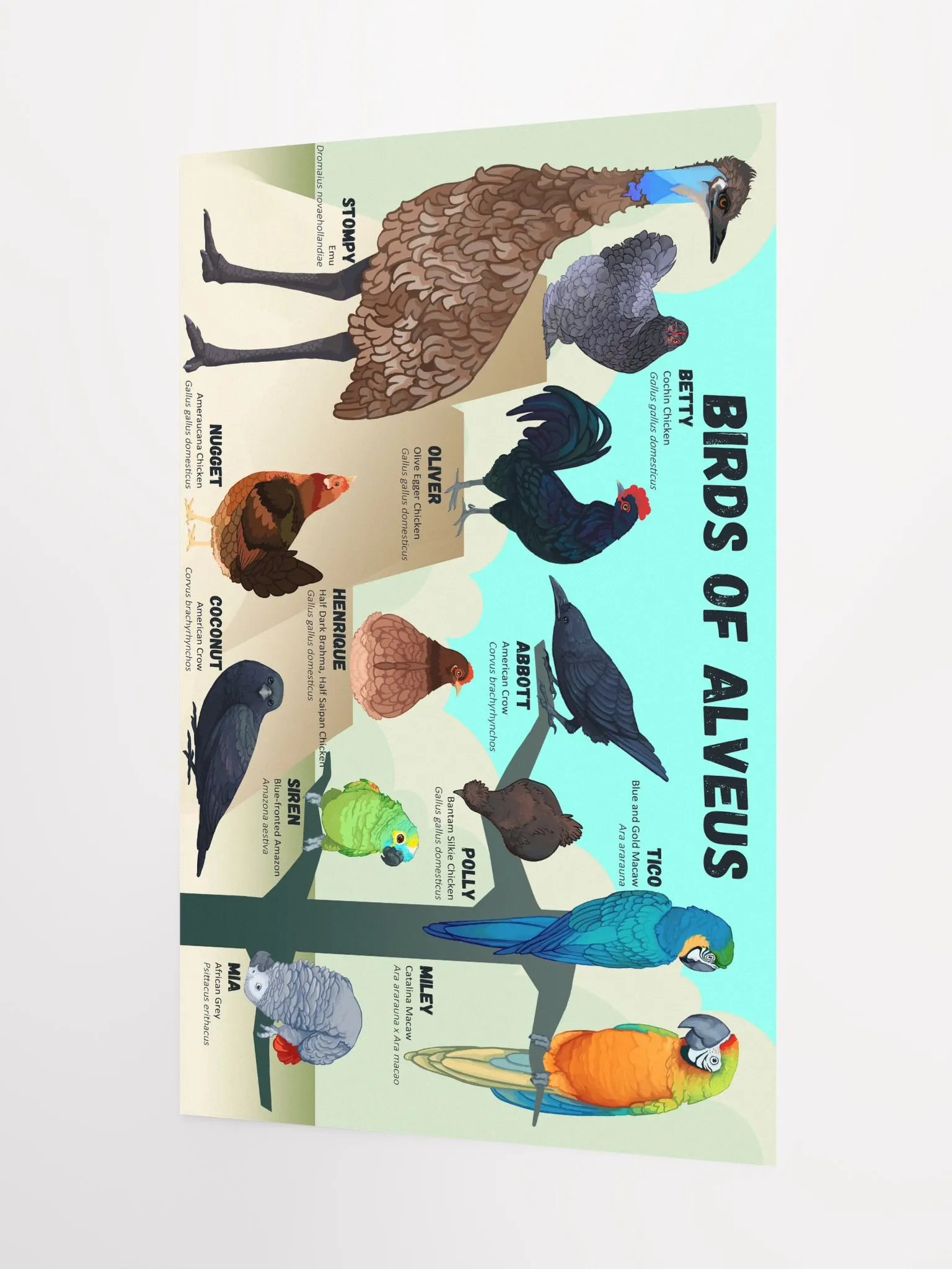 Birds of Alveus Poster product image (9)