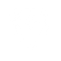 KINGDOM VII