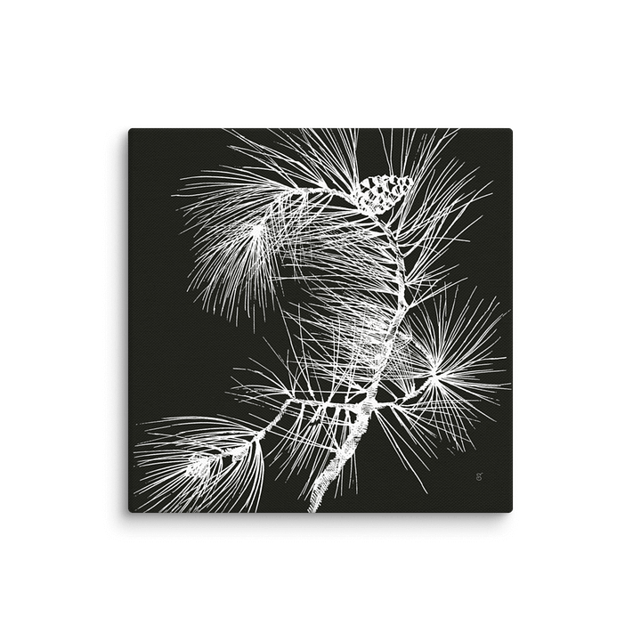 Visionary Canvas Collection - Pine Branch Dark product image (1)