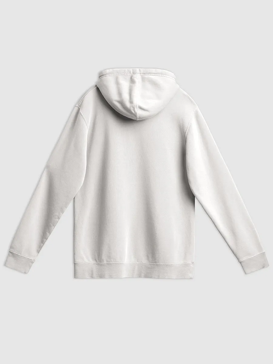 Bubbly and a B*tch (lined design, #BDCAEF) printed pigment hoodie product image (12)