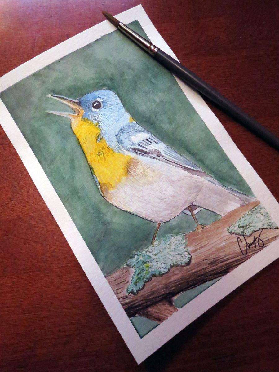 Northern Parola Warbler - Original Watercolor Painting product image (1)