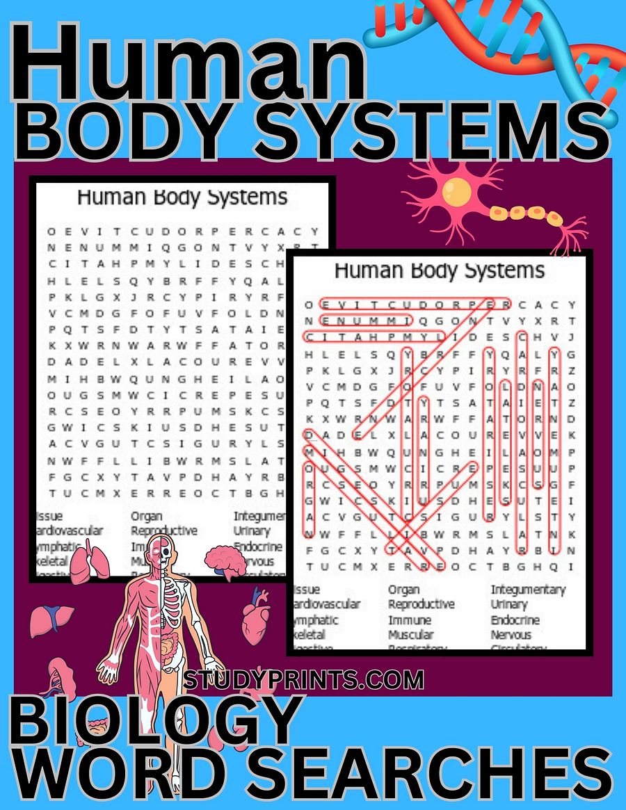 Human Body Systems word search product image (1)