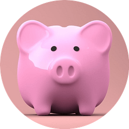 🐷 WUPPLES® Bronze