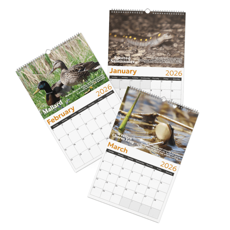 2026 Wall Calendar product image (2)