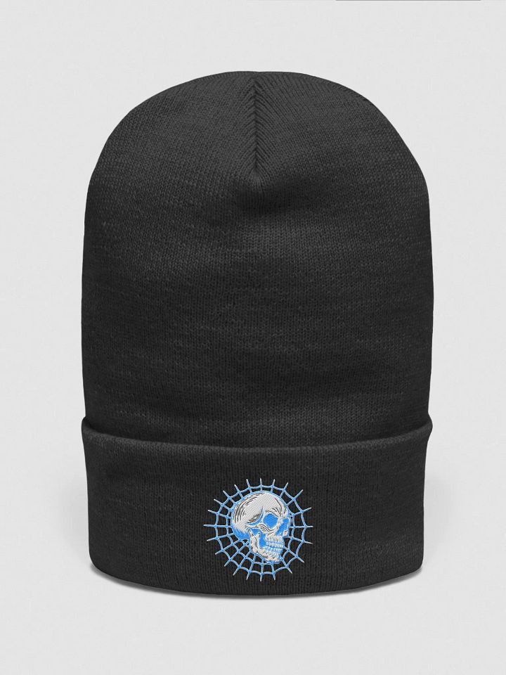 Spider web Skull blue hat product image (6)