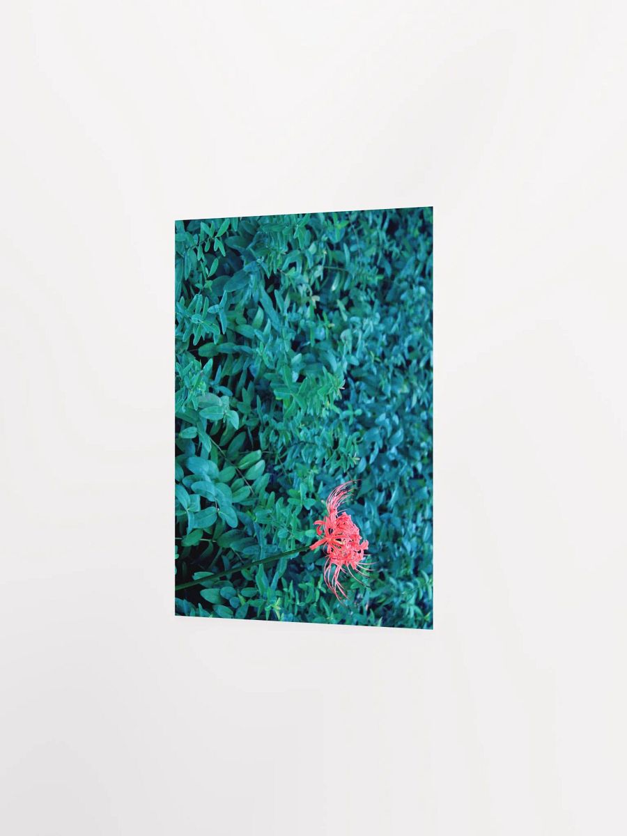 A Study in Flowers 10 product image (19)