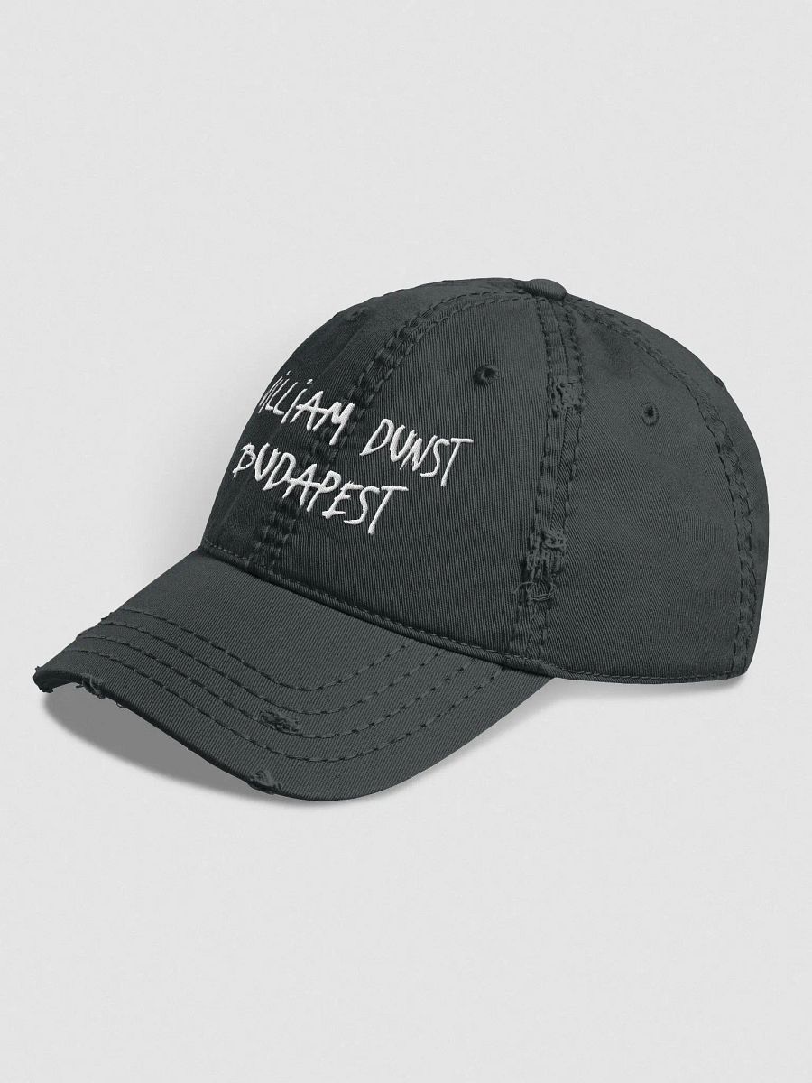 Budapest Youth Couture Distressed Dad Hat product image (4)