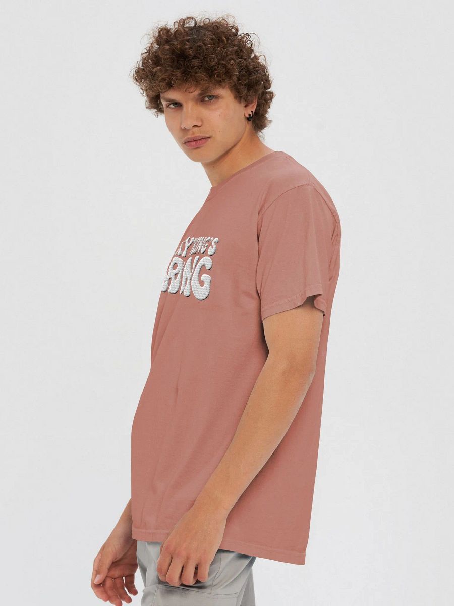 'Everything's Wrong' Embroidered Tee product image (5)