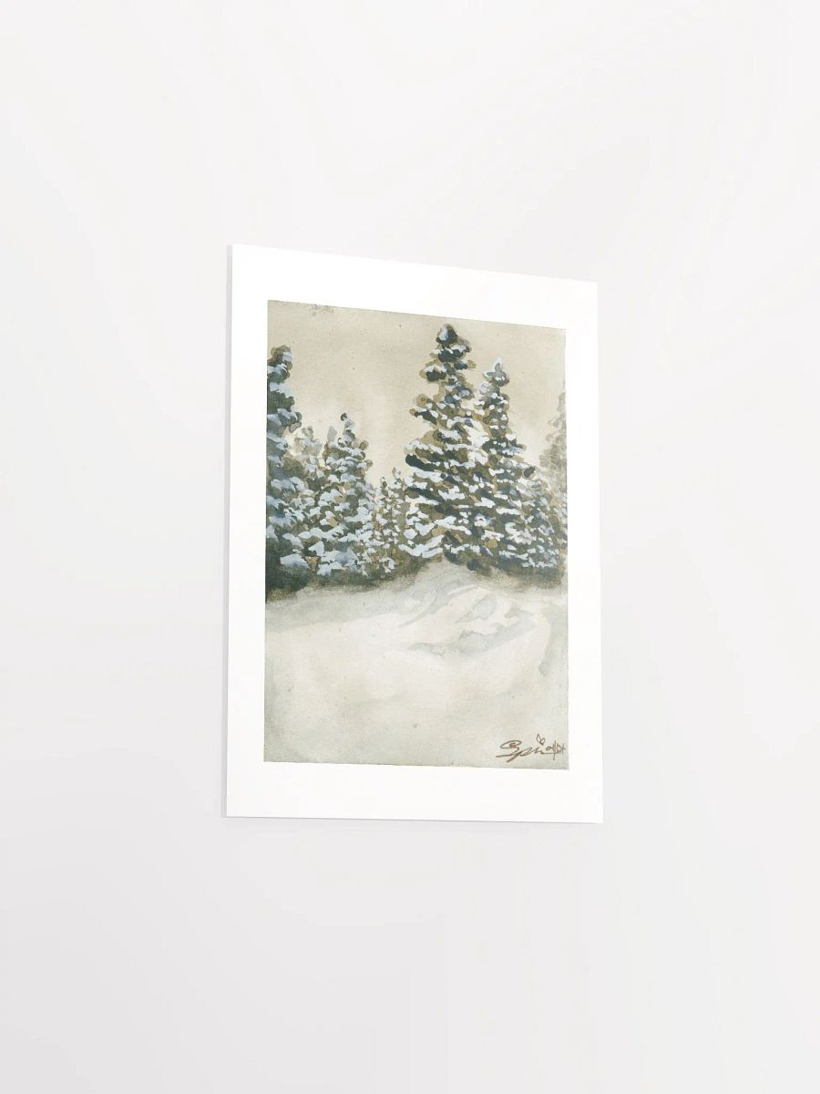 Alaska Forests product image (5)