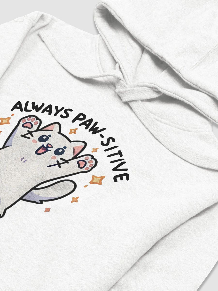 Always paw-sitive hoodie product image (3)