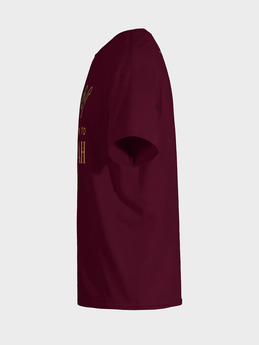 Yasharal Original Music: All Esteem To YAHUAH | T-Shirt | Maroon product image (7)